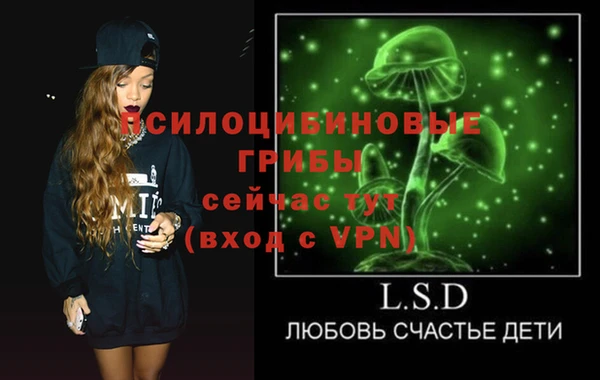 ПСИЛОЦИБИНОВЫЕ ГРИБЫ Бугульма