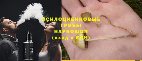 винт Бородино