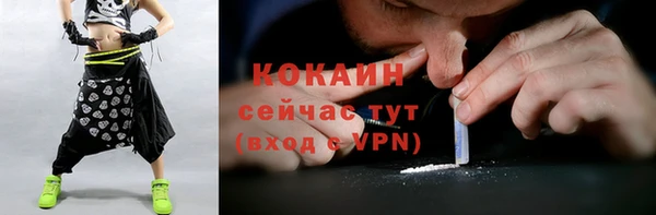 винт Бородино