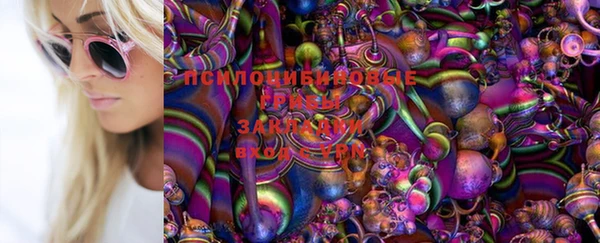 трава Бронницы