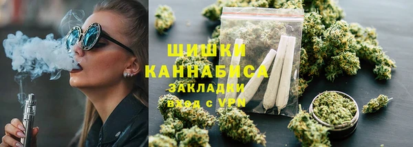 трава Бронницы