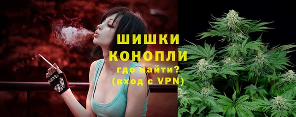 ПСИЛОЦИБИНОВЫЕ ГРИБЫ Бугульма