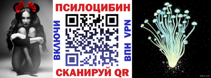 Галлюциногенные грибы GOLDEN TEACHER  Мурманск 
